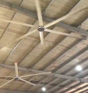 1755486416162357.jpg 400-1.jpg